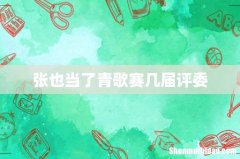 张也当了青歌赛几届评委