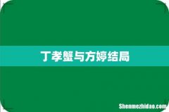 丁孝蟹与方婷结局