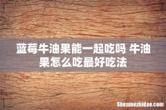 蓝莓牛油果能一起吃吗 牛油果怎么吃最好吃法