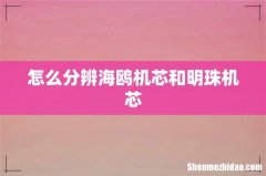 怎么分辨海鸥机芯和明珠机芯