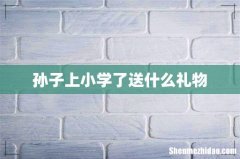 孙子上小学了送什么礼物