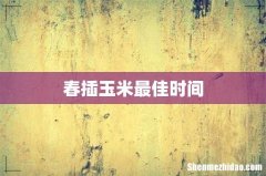 春插玉米最佳时间