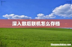 深入敌后联机怎么存档