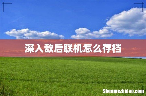 深入敌后联机怎么存档