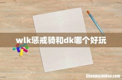 wlk惩戒骑和dk哪个好玩