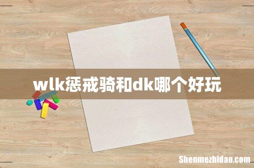 wlk惩戒骑和dk哪个好玩