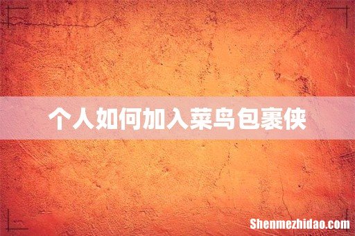 个人如何加入菜鸟包裹侠