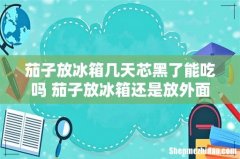 茄子放冰箱几天芯黑了能吃吗 茄子放冰箱还是放外面