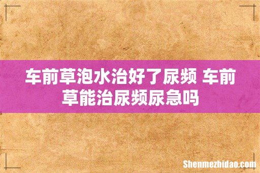 车前草泡水治好了尿频 车前草能治尿频尿急吗