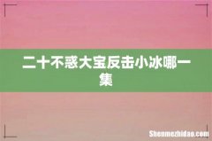 二十不惑大宝反击小冰哪一集