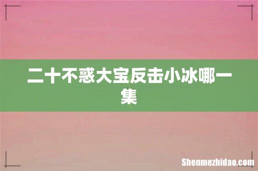 二十不惑大宝反击小冰哪一集