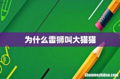 为什么雷狮叫大猫猫