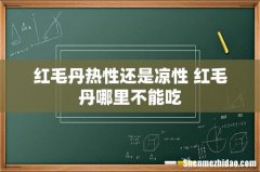 红毛丹热性还是凉性 红毛丹哪里不能吃