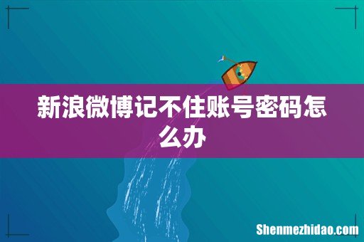 新浪微博记不住账号密码怎么办