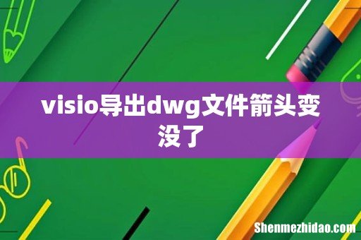 visio导出dwg文件箭头变没了