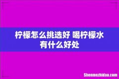 柠檬怎么挑选好 喝柠檬水有什么好处