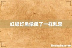 红绿灯鱼像疯了一样乱窜