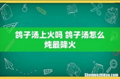 鸽子汤上火吗 鸽子汤怎么炖最降火