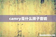 camry是什么牌子音响