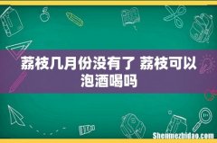 荔枝几月份没有了 荔枝可以泡酒喝吗