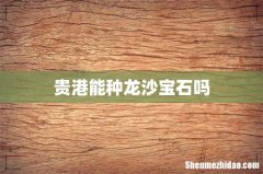 贵港能种龙沙宝石吗
