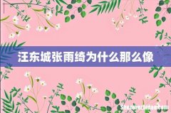 汪东城张雨绮为什么那么像