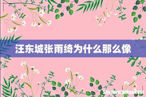 汪东城张雨绮为什么那么像