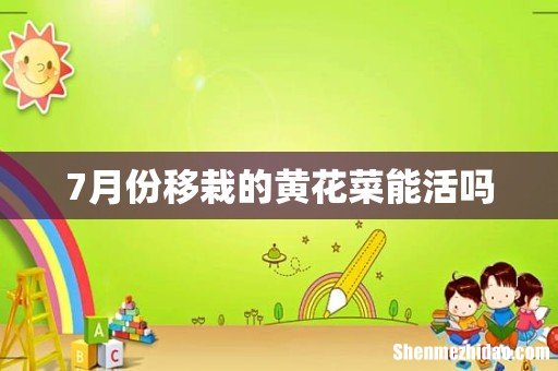7月份移栽的黄花菜能活吗