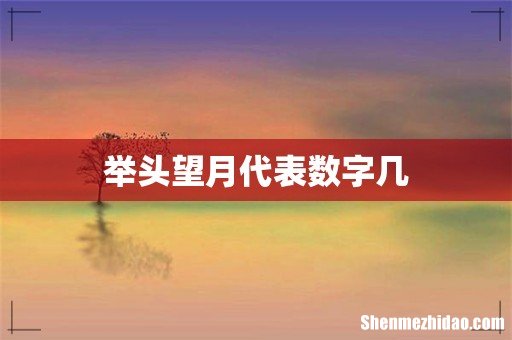 举头望月代表数字几