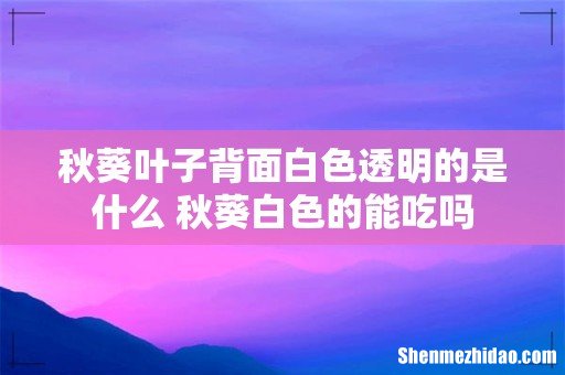 秋葵叶子背面白色透明的是什么 秋葵白色的能吃吗
