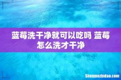 蓝莓洗干净就可以吃吗 蓝莓怎么洗才干净