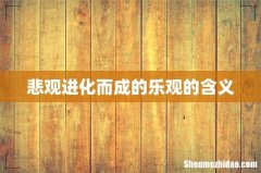 悲观进化而成的乐观的含义