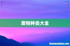 宠物种类大全