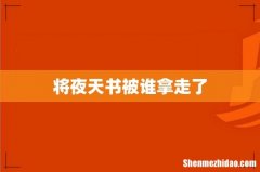 将夜天书被谁拿走了