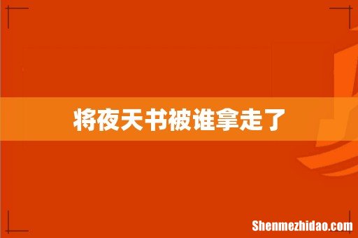 将夜天书被谁拿走了