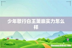 少年歌行白王萧崇实力怎么样
