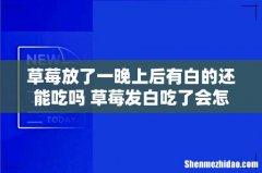 草莓放了一晚上后有白的还能吃吗 草莓发白吃了会怎样