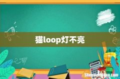 猫loop灯不亮