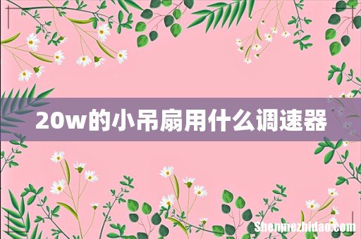 20w的小吊扇用什么调速器
