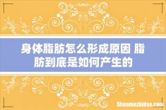 身体脂肪怎么形成原因 脂肪到底是如何产生的