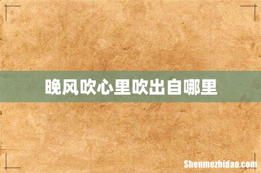 晚风吹心里吹出自哪里
