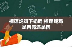 榴莲炖鸡下奶吗 榴莲炖鸡是用壳还是肉
