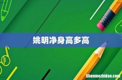姚明净身高多高