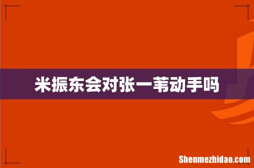 米振东会对张一苇动手吗