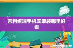 吉利缤瑞手机支架装哪里好看