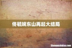 佟毓婉东山再起大结局