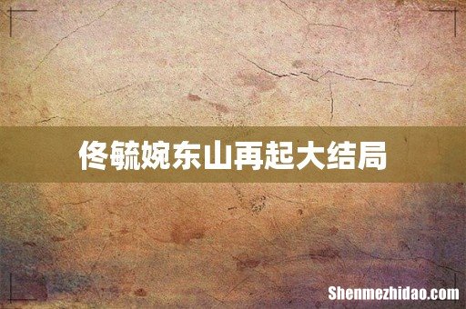 佟毓婉东山再起大结局