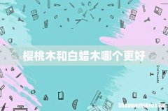樱桃木和白蜡木哪个更好