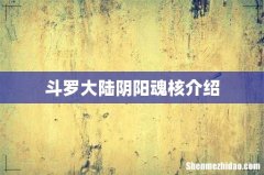 斗罗大陆阴阳魂核介绍