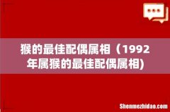 猴的最佳配偶属相（1992年属猴的最佳配偶属相)
